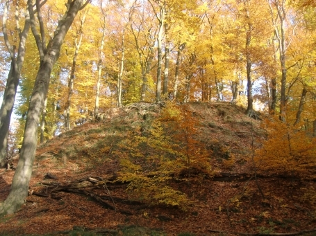 Wegberg-Arsbeck : Zwischen Dalheim-Rödgen und Arsbeck im Tal des Helpensteiner Baches, liegt der "Alde Berg" die größte und besterhaltene "Motte" des Niederrheins ( künstlich angeschüttener Burghügel, 12 m hoch ).